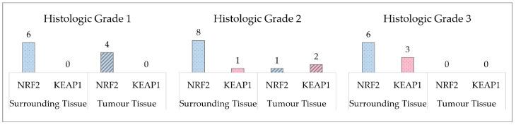 https://cdn.ncbi.nlm.nih.gov/pmc/blobs/bca3/11240725/ca3e2957f285/cancers-16-02411-g001.jpg