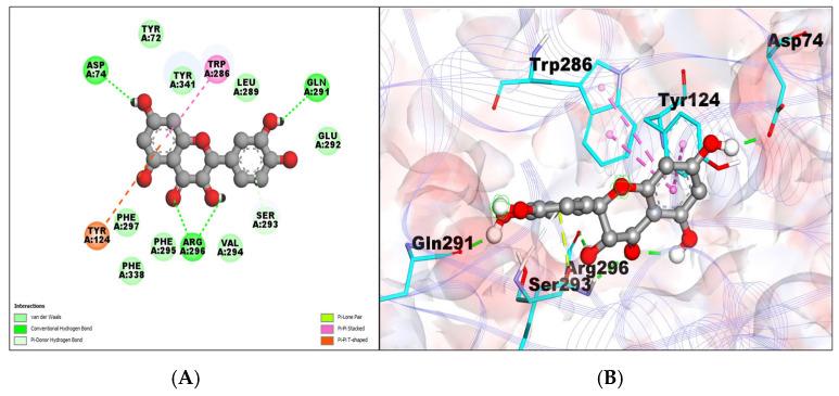 https://cdn.ncbi.nlm.nih.gov/pmc/blobs/bca4/10856623/4a84124e6aaf/molecules-29-00674-g002.jpg