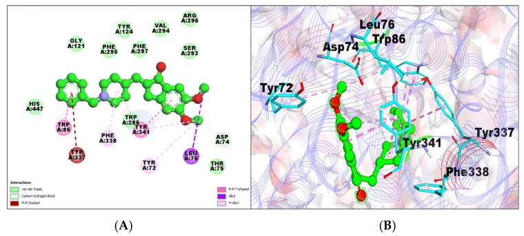 https://cdn.ncbi.nlm.nih.gov/pmc/blobs/bca4/10856623/ed8b6f50ebc3/molecules-29-00674-g001.jpg