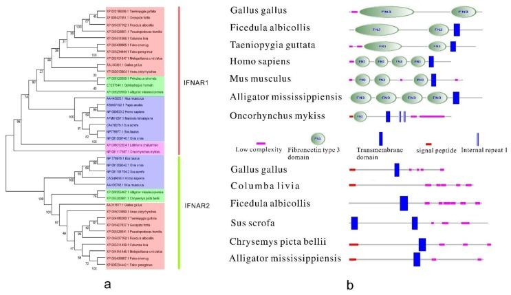 https://cdn.ncbi.nlm.nih.gov/pmc/blobs/bca5/4264211/e2046fd80369/ijms-15-21045-g004.jpg