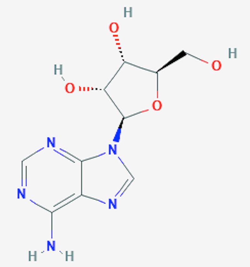 https://cdn.ncbi.nlm.nih.gov/pmc/blobs/bca5/7909893/db6760fca96f/cureus-0013-00000012940-i01.jpg