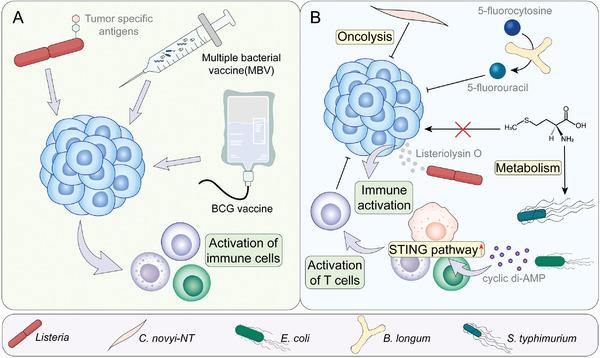 https://cdn.ncbi.nlm.nih.gov/pmc/blobs/bca5/9313476/02dcab6e1479/ADVS-9-2200470-g009.jpg