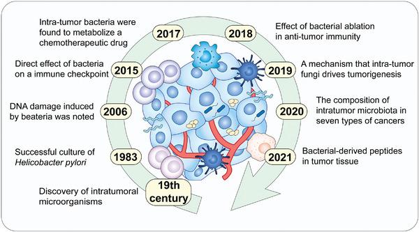 https://cdn.ncbi.nlm.nih.gov/pmc/blobs/bca5/9313476/366d44beeb3e/ADVS-9-2200470-g010.jpg