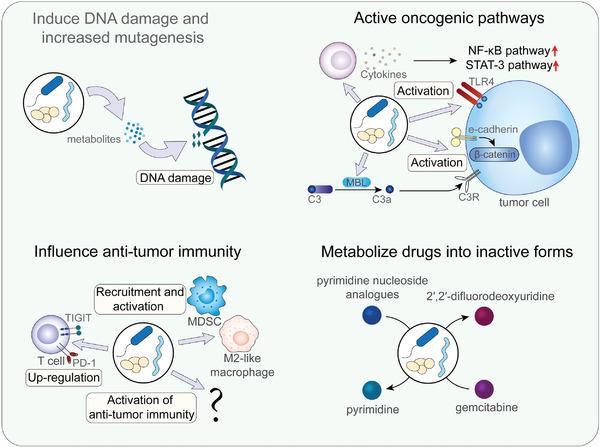 https://cdn.ncbi.nlm.nih.gov/pmc/blobs/bca5/9313476/84496f480e92/ADVS-9-2200470-g001.jpg