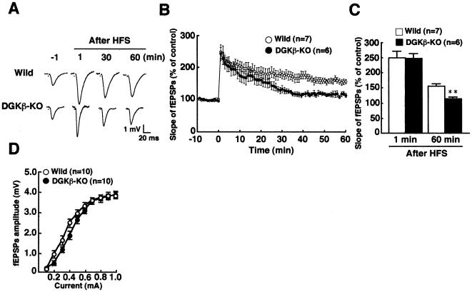 https://cdn.ncbi.nlm.nih.gov/pmc/blobs/bca6/2904696/b531588d3b3b/pone.0011602.g003.jpg