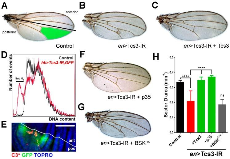 https://cdn.ncbi.nlm.nih.gov/pmc/blobs/bca6/5372737/74da9ad11f1e/biomolecules-07-00025-g003.jpg
