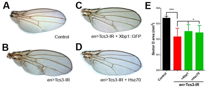 https://cdn.ncbi.nlm.nih.gov/pmc/blobs/bca6/5372737/9f6c64ee80e0/biomolecules-07-00025-g005.jpg