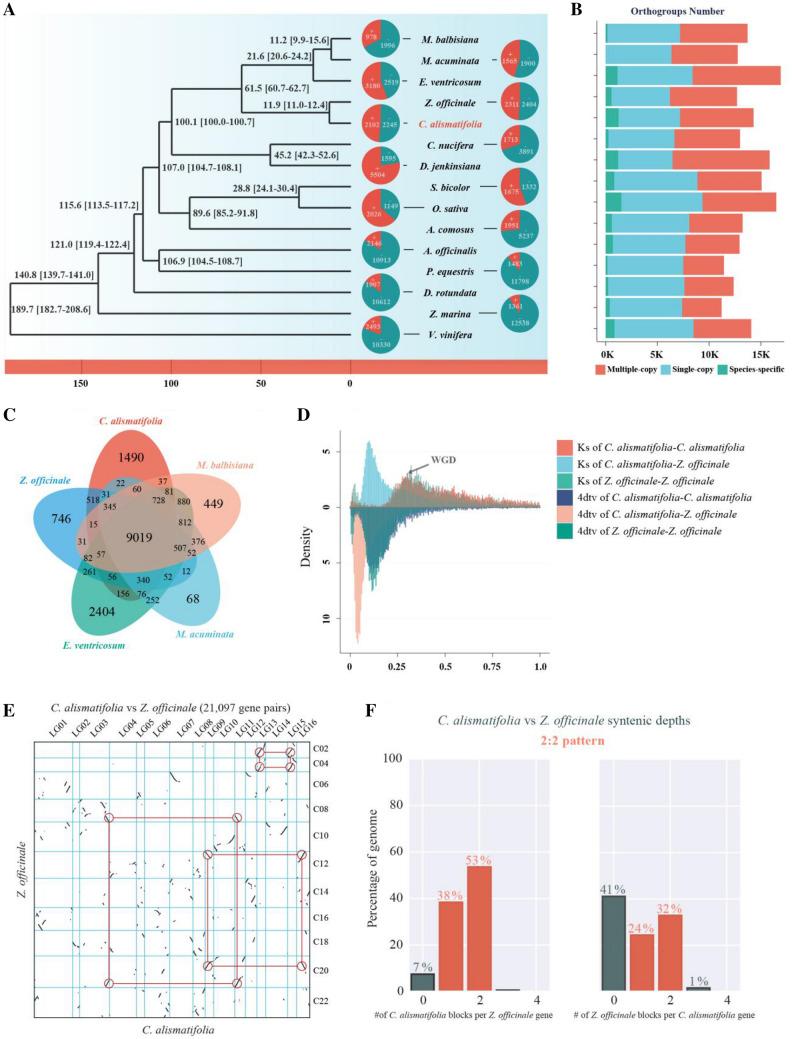 https://cdn.ncbi.nlm.nih.gov/pmc/blobs/bca6/9590460/651fddd10238/42994_2022_81_Fig2_HTML.jpg
