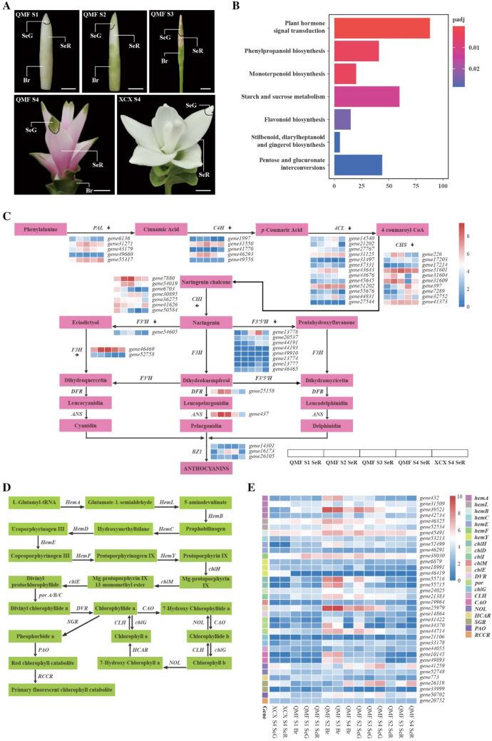 https://cdn.ncbi.nlm.nih.gov/pmc/blobs/bca6/9590460/b3aede2ca730/42994_2022_81_Fig4_HTML.jpg