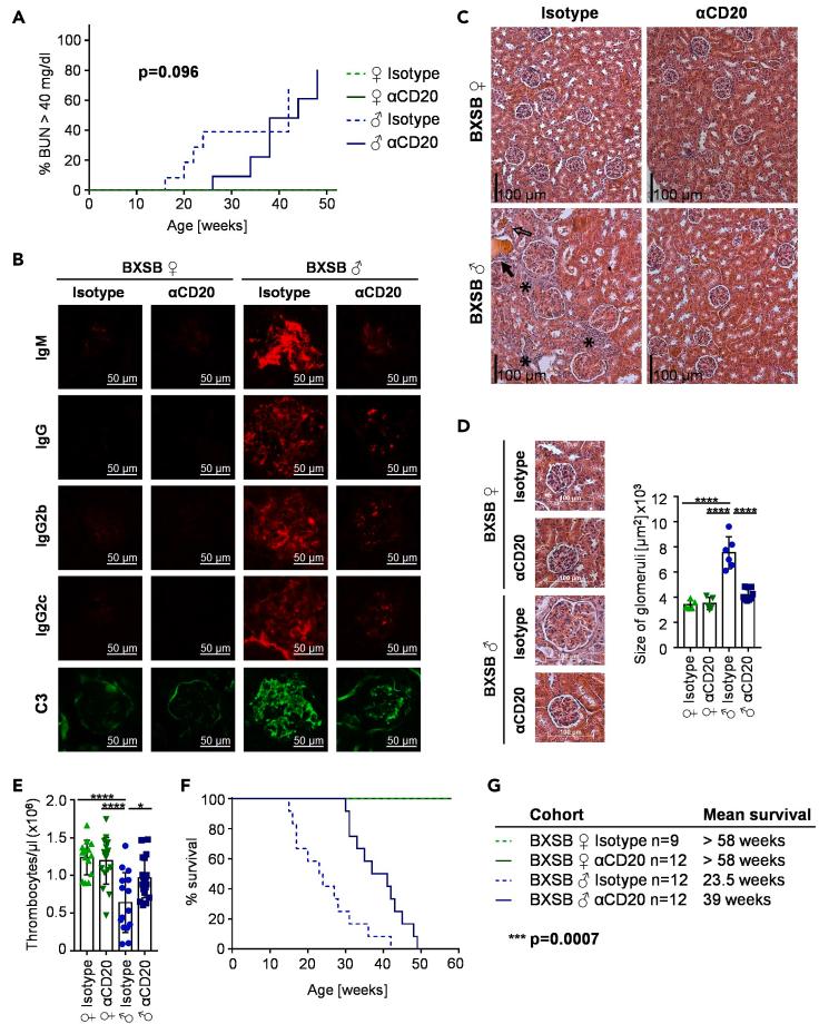 https://cdn.ncbi.nlm.nih.gov/pmc/blobs/bca7/8455742/2dce03168096/gr6.jpg