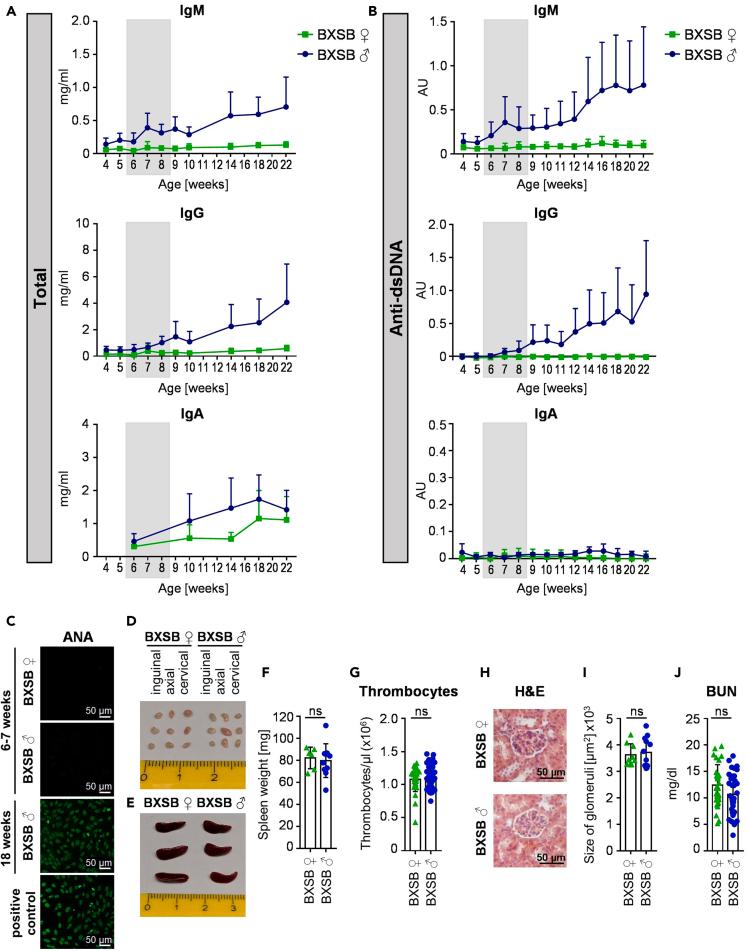 https://cdn.ncbi.nlm.nih.gov/pmc/blobs/bca7/8455742/666d2d4c4d3e/gr1.jpg