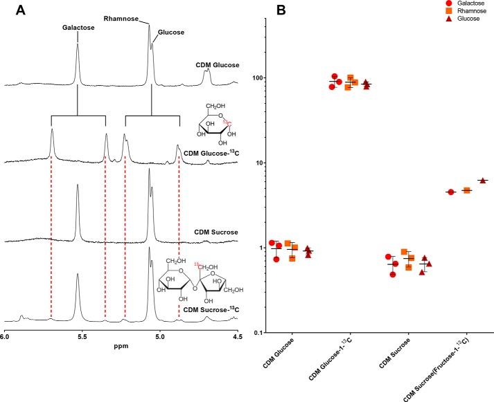 https://cdn.ncbi.nlm.nih.gov/pmc/blobs/bca8/6873171/65284cbe1828/zbc9991914660007.jpg