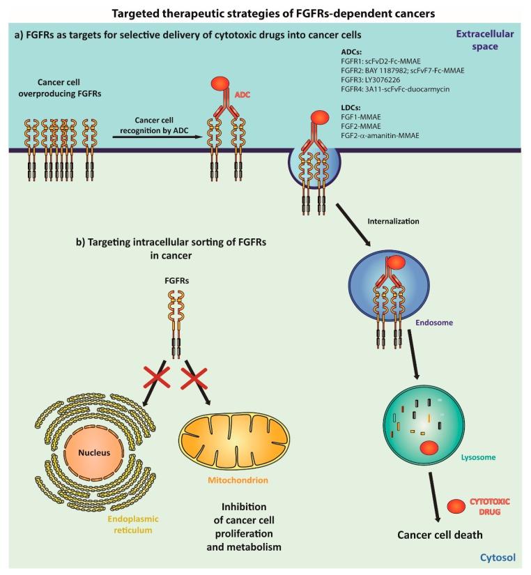 https://cdn.ncbi.nlm.nih.gov/pmc/blobs/bcaa/6352210/7f2715ca2144/jcm-08-00007-g006.jpg