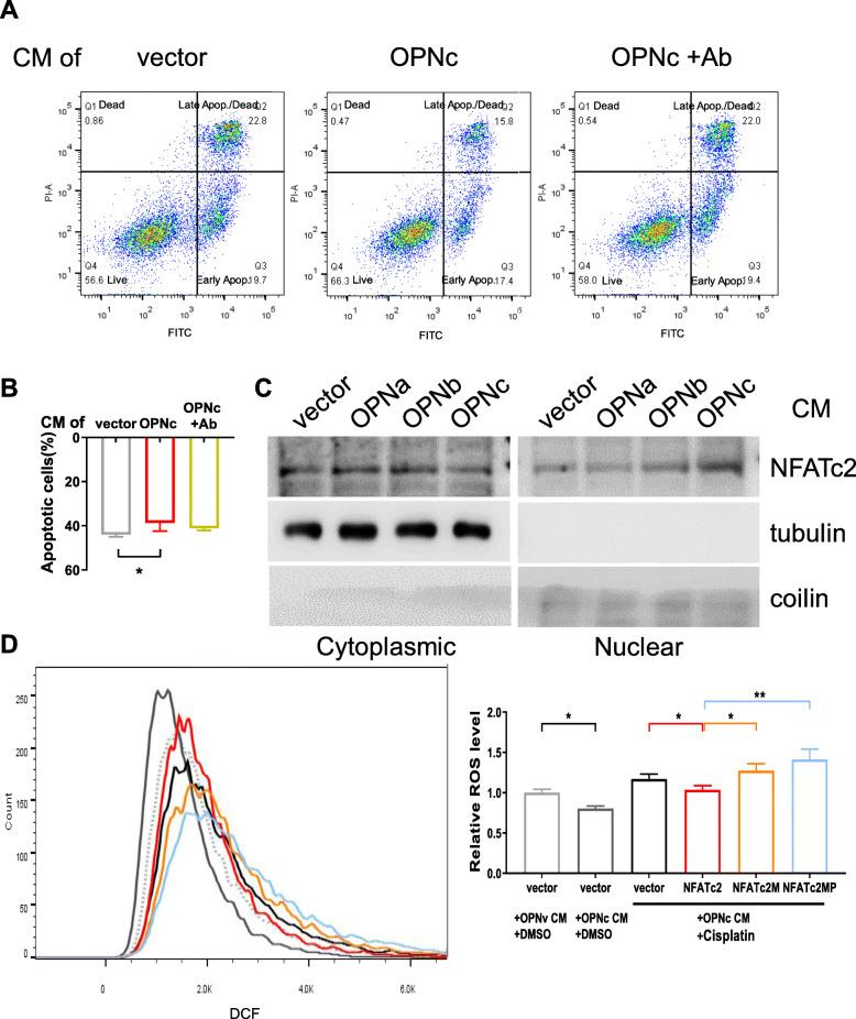 https://cdn.ncbi.nlm.nih.gov/pmc/blobs/bcaa/8243455/f61cfd3c54cb/12885_2021_8495_Fig6_HTML.jpg