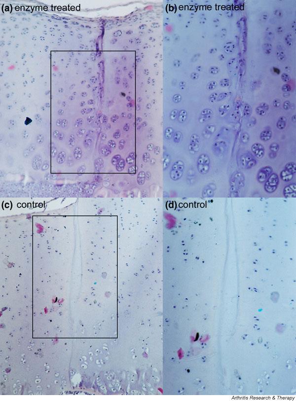 https://cdn.ncbi.nlm.nih.gov/pmc/blobs/bcac/546287/95be2ad13b2e/ar1216-2.jpg