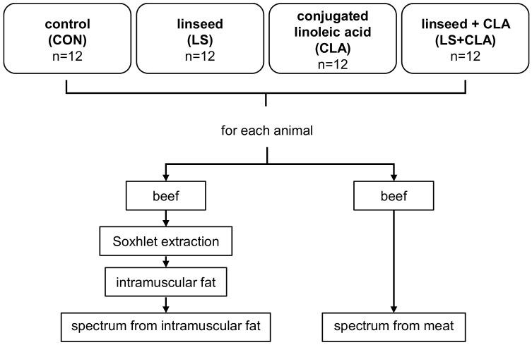 https://cdn.ncbi.nlm.nih.gov/pmc/blobs/bcad/7828561/55096277333b/foods-10-00155-g001.jpg