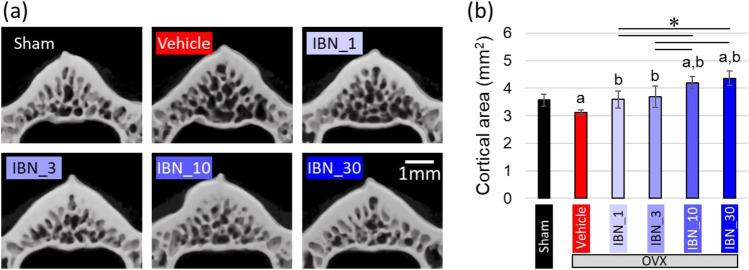 https://cdn.ncbi.nlm.nih.gov/pmc/blobs/bcad/9108105/d5aa6742a20a/223_2021_940_Fig4_HTML.jpg