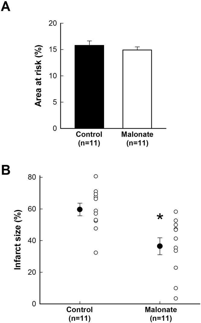 https://cdn.ncbi.nlm.nih.gov/pmc/blobs/bcae/5799359/d5c7ee2a2cc5/41598_2018_20866_Fig4_HTML.jpg