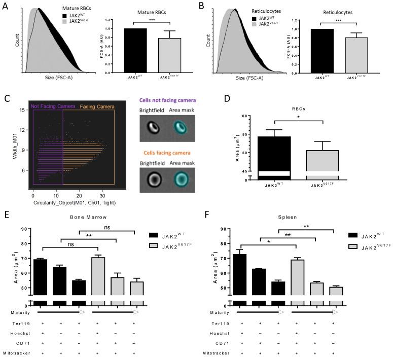 https://cdn.ncbi.nlm.nih.gov/pmc/blobs/bcb4/8750512/797e728a5239/cells-11-00049-g003.jpg