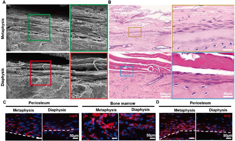 https://cdn.ncbi.nlm.nih.gov/pmc/blobs/bcb8/9800298/61cada87408a/gr1.jpg