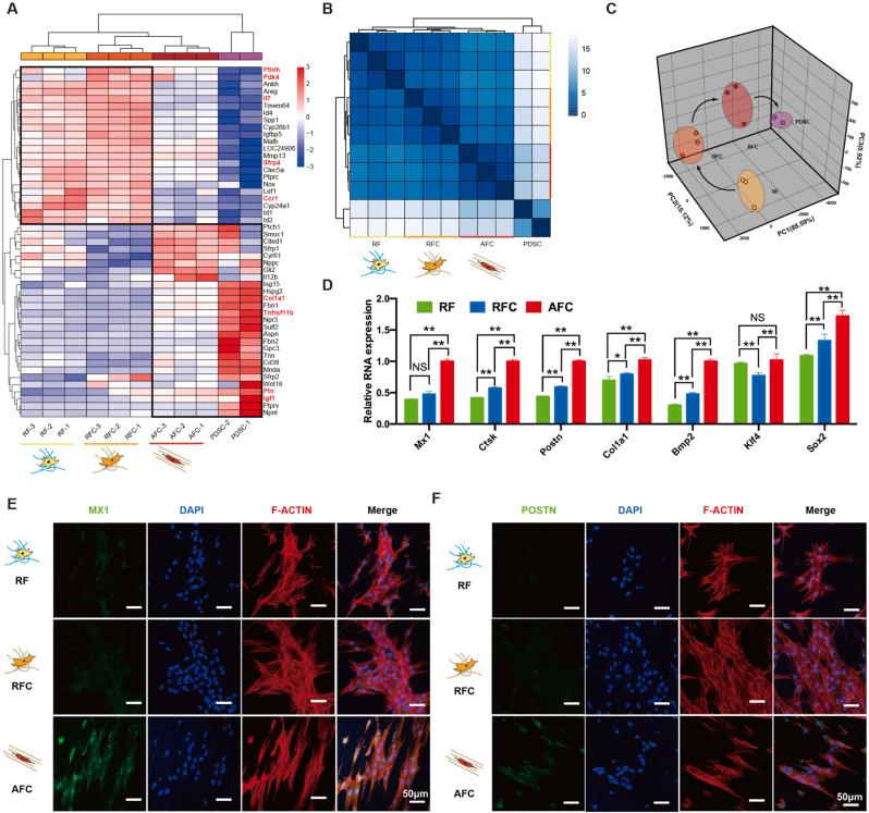 https://cdn.ncbi.nlm.nih.gov/pmc/blobs/bcb8/9800298/bb346aea6fec/gr5.jpg