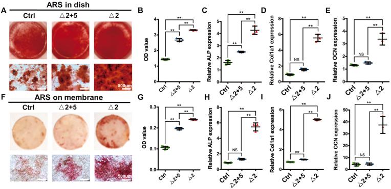 https://cdn.ncbi.nlm.nih.gov/pmc/blobs/bcb8/9800298/cfaeac84f23b/gr8.jpg
