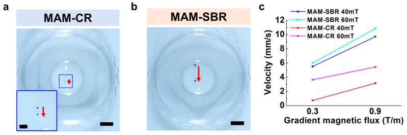 https://cdn.ncbi.nlm.nih.gov/pmc/blobs/bcb9/9959313/e5da28b4d133/micromachines-14-00434-g004.jpg