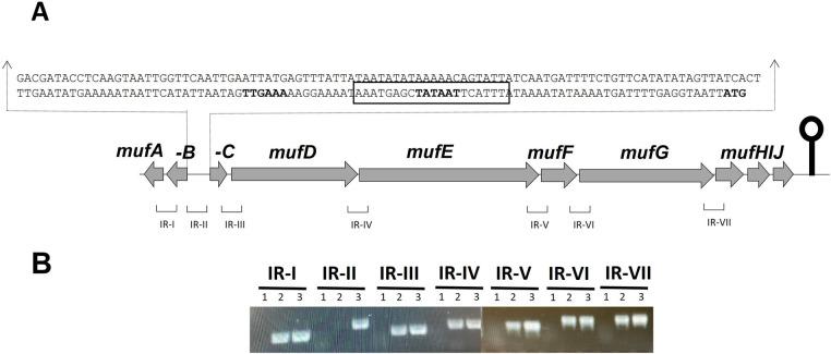 https://cdn.ncbi.nlm.nih.gov/pmc/blobs/bcba/11782227/0096dfbb14c6/froh-06-1535034-g001.jpg