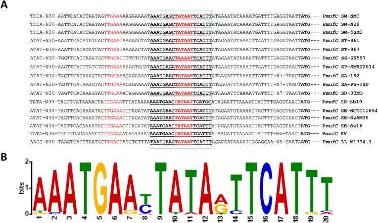 https://cdn.ncbi.nlm.nih.gov/pmc/blobs/bcba/11782227/7d89c8e31c38/froh-06-1535034-g007.jpg