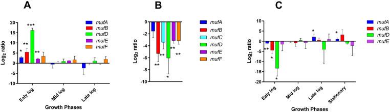 https://cdn.ncbi.nlm.nih.gov/pmc/blobs/bcba/11782227/a6d64b1e0464/froh-06-1535034-g002.jpg