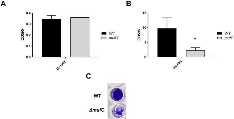 https://cdn.ncbi.nlm.nih.gov/pmc/blobs/bcba/11782227/ade51e63f764/froh-06-1535034-g006.jpg