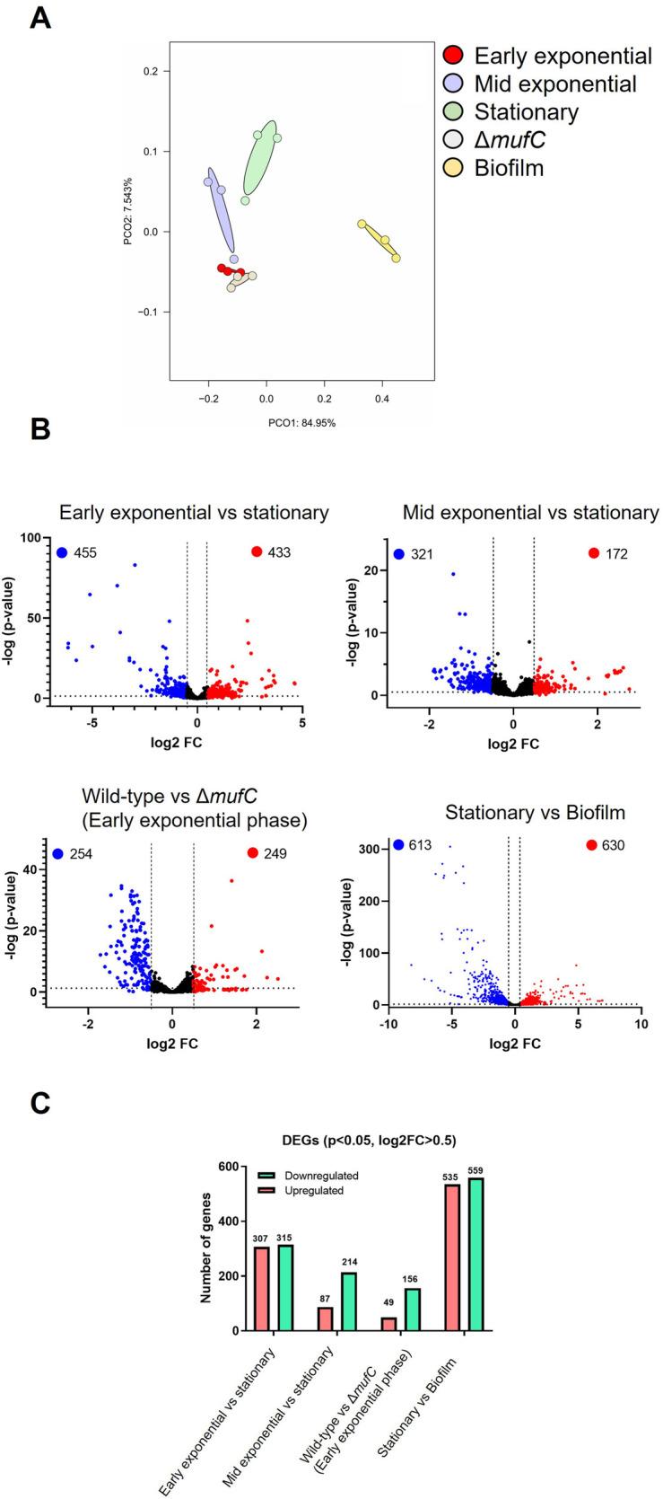https://cdn.ncbi.nlm.nih.gov/pmc/blobs/bcba/11782227/b673e2f8561e/froh-06-1535034-g003.jpg