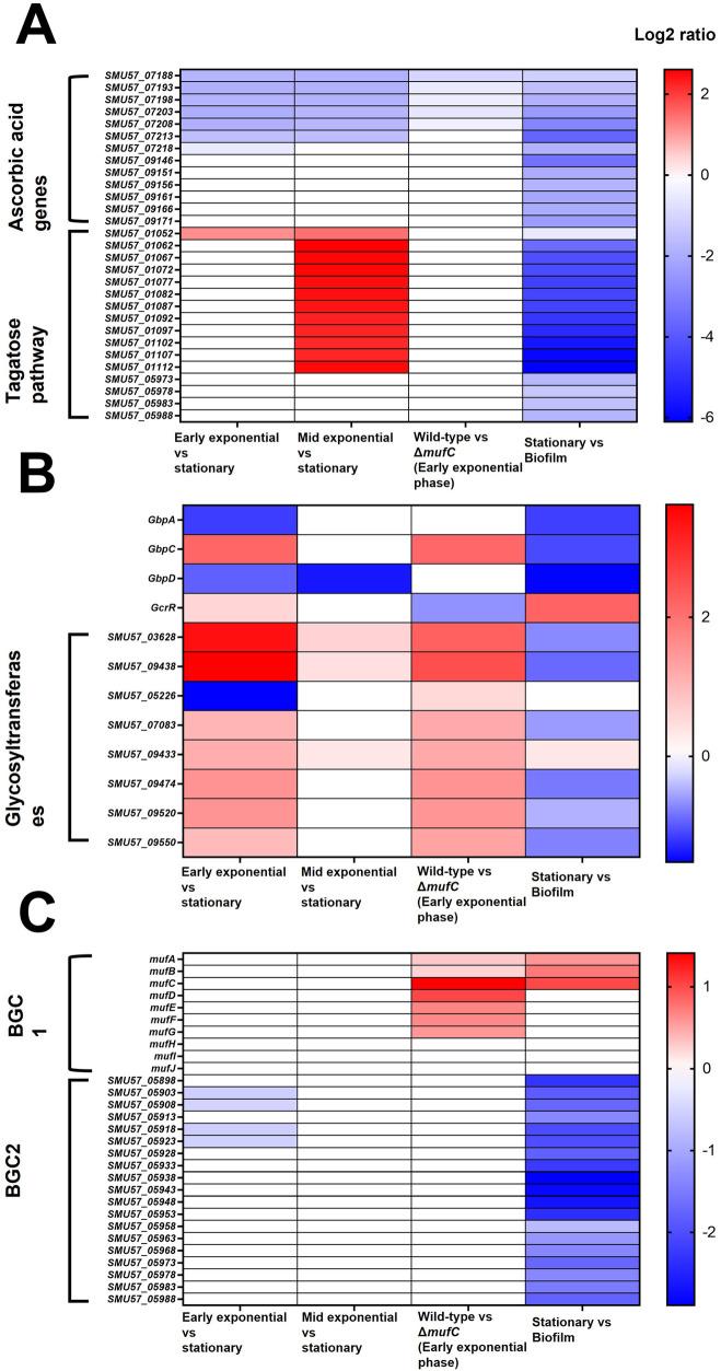 https://cdn.ncbi.nlm.nih.gov/pmc/blobs/bcba/11782227/c85e90900ae0/froh-06-1535034-g004.jpg