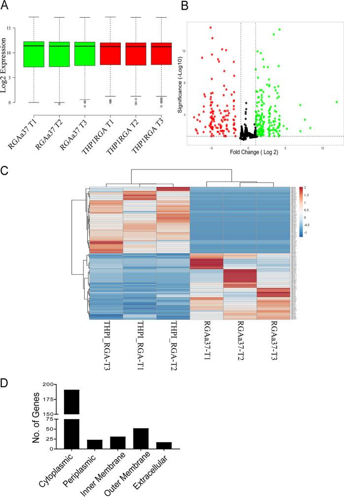 https://cdn.ncbi.nlm.nih.gov/pmc/blobs/bcbb/10100824/642599f65a21/spectrum.03135-22-f002.jpg