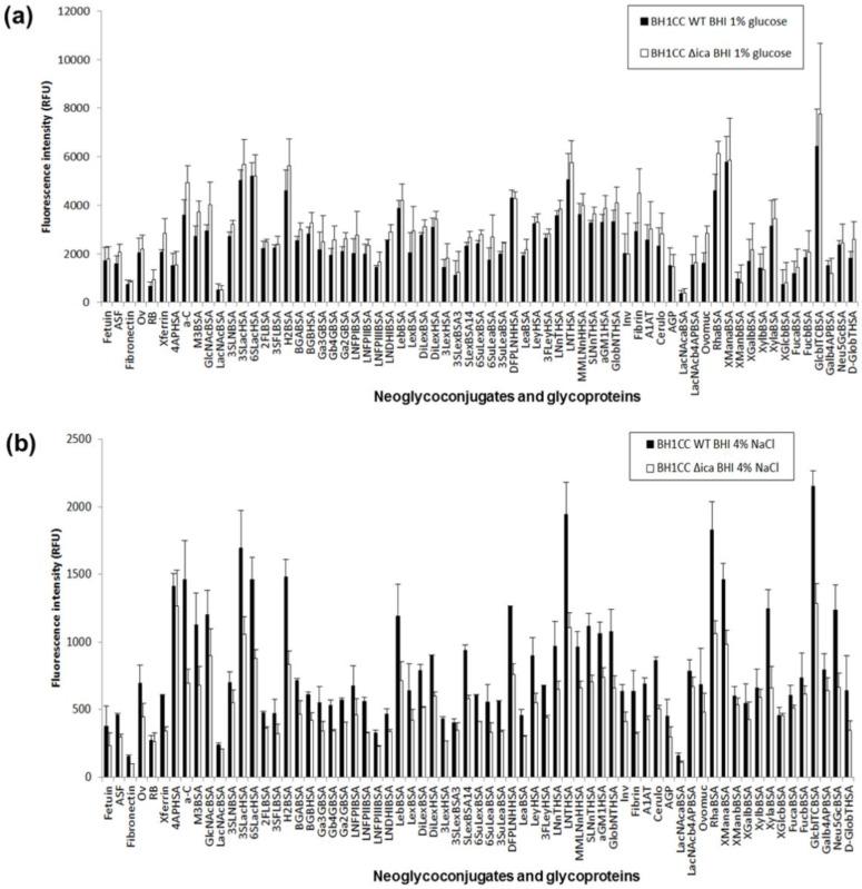 https://cdn.ncbi.nlm.nih.gov/pmc/blobs/bcbb/7177611/67e0b927f38e/ijms-21-02465-g004.jpg