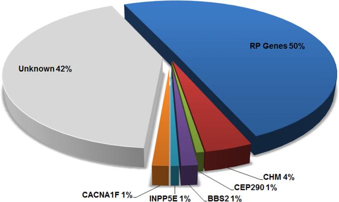 https://cdn.ncbi.nlm.nih.gov/pmc/blobs/bcbc/4415588/b65465be7697/mv-v21-477-f3.jpg