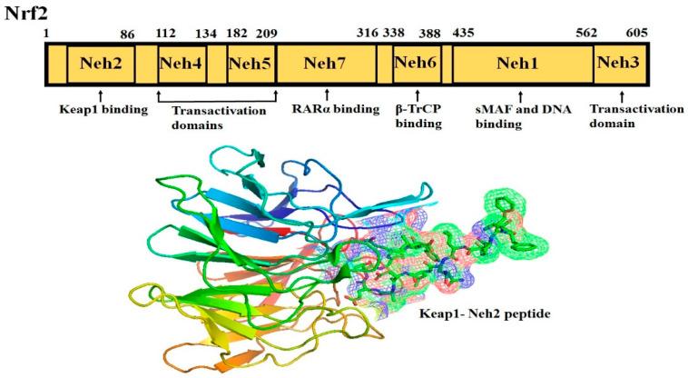 https://cdn.ncbi.nlm.nih.gov/pmc/blobs/bcc0/7700122/0dc42aebefee/molecules-25-05474-g001.jpg