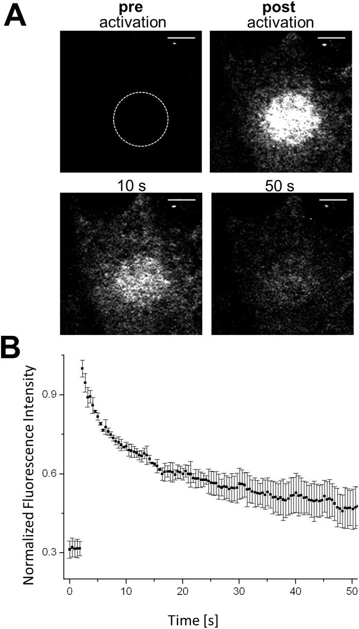 https://cdn.ncbi.nlm.nih.gov/pmc/blobs/bcc1/5351804/144f8b531ff7/c6sc02088g-f3.jpg