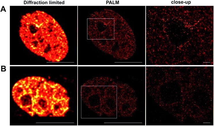 https://cdn.ncbi.nlm.nih.gov/pmc/blobs/bcc1/5351804/842669a8cc0b/c6sc02088g-f4.jpg