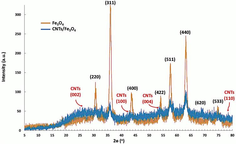 https://cdn.ncbi.nlm.nih.gov/pmc/blobs/bcc2/11269411/909f626a0fdb/IJN-19-7323-g0009.jpg