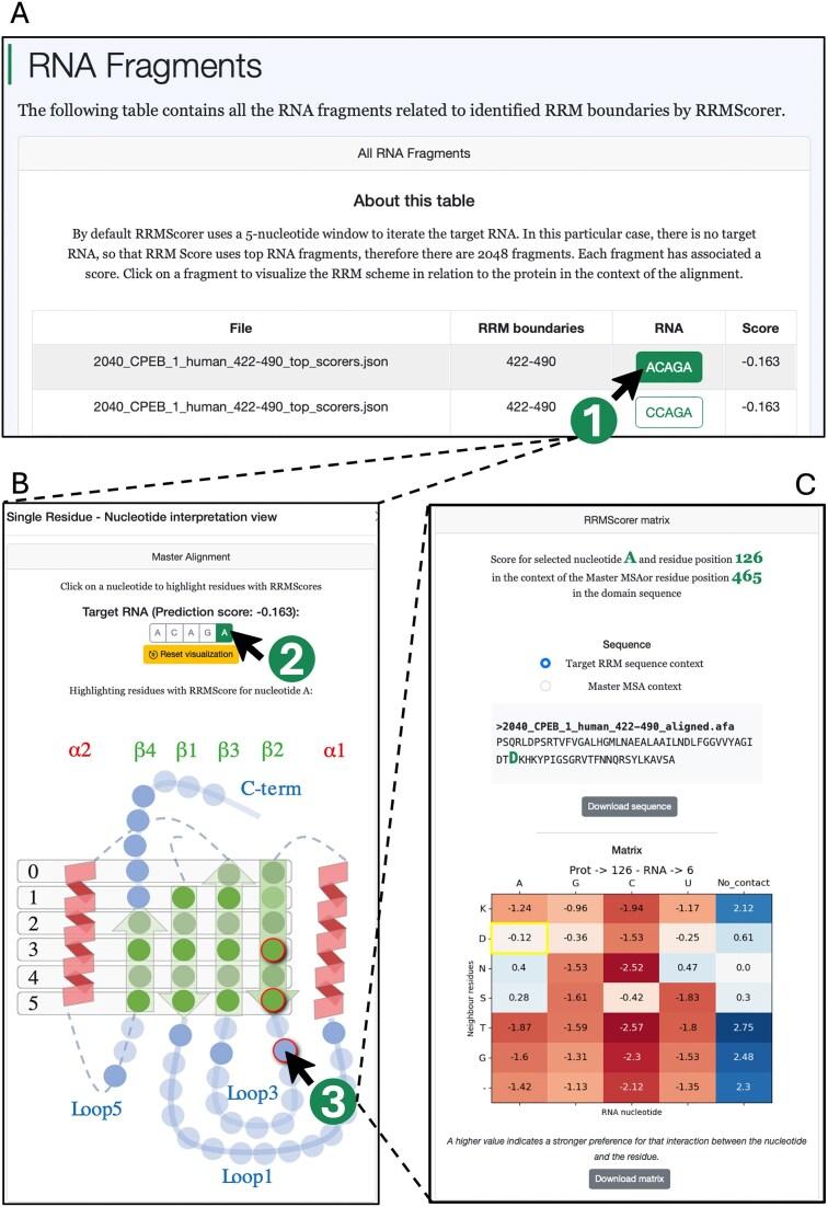 https://cdn.ncbi.nlm.nih.gov/pmc/blobs/bcc2/12230727/6835bbf410d4/gkaf367fig2.jpg