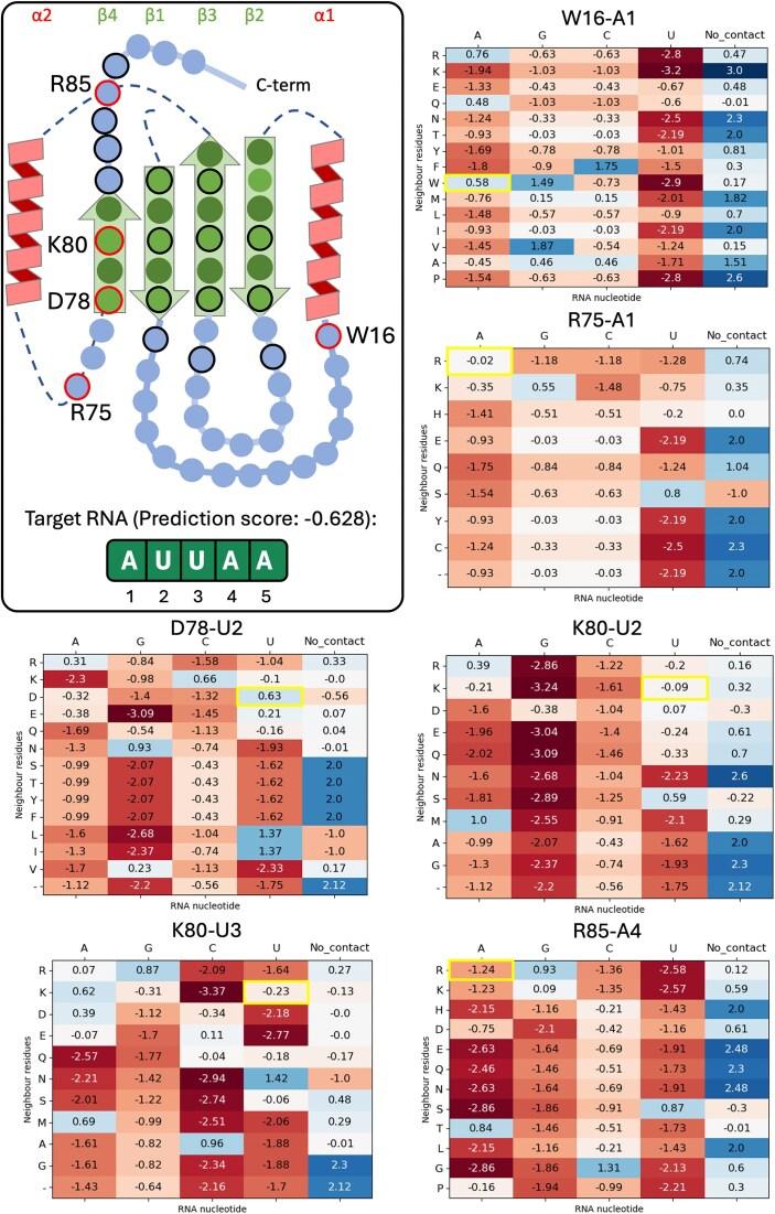https://cdn.ncbi.nlm.nih.gov/pmc/blobs/bcc2/12230727/ac478c438020/gkaf367fig4.jpg