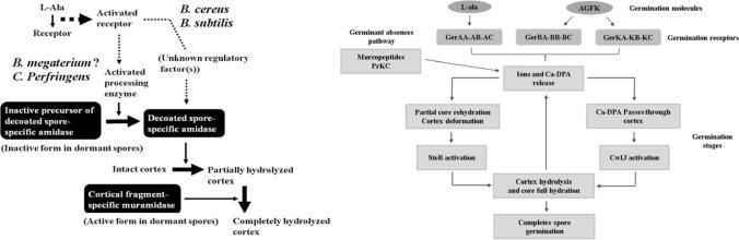 https://cdn.ncbi.nlm.nih.gov/pmc/blobs/bcc3/7561656/6ae9fefa2112/10068_2020_809_Fig4_HTML.jpg