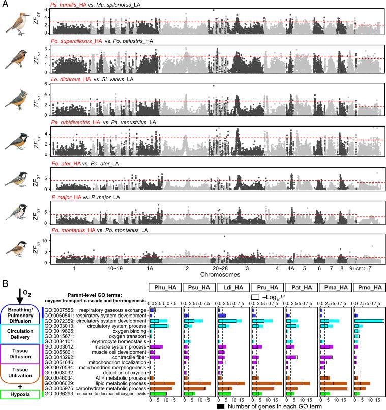 https://cdn.ncbi.nlm.nih.gov/pmc/blobs/bcc3/8685689/baf0a1d50bb6/pnas.202023918fig03.jpg