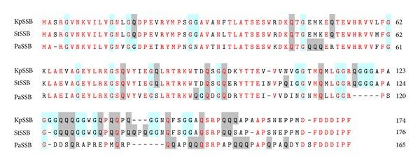 https://cdn.ncbi.nlm.nih.gov/pmc/blobs/bcc4/4137731/0c48dbde8611/BMRI2014-573936.002.jpg