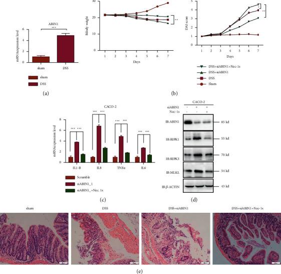 https://cdn.ncbi.nlm.nih.gov/pmc/blobs/bcc5/9377955/9f2396f98888/GR2022-9313559.004.jpg