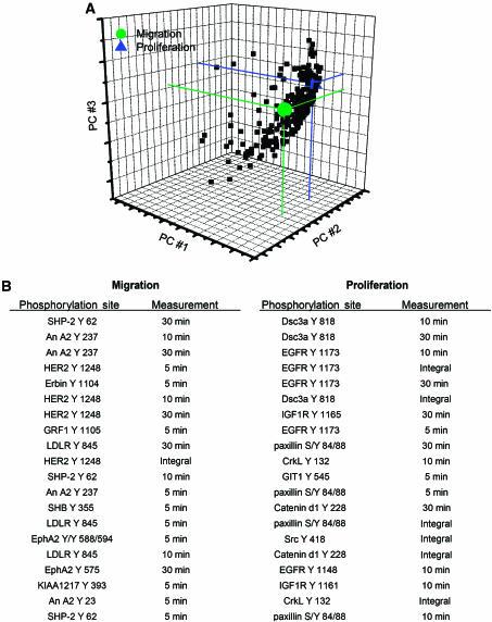 https://cdn.ncbi.nlm.nih.gov/pmc/blobs/bcc6/1682017/7e5fa95fd83b/msb4100094-f6.jpg