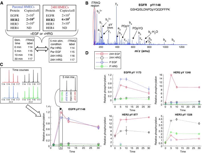 https://cdn.ncbi.nlm.nih.gov/pmc/blobs/bcc6/1682017/f69f3baf814b/msb4100094-f1.jpg