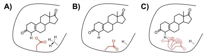 https://cdn.ncbi.nlm.nih.gov/pmc/blobs/bcc6/4004248/09b0bc5f2c73/bi-2013-01671t_0007.jpg