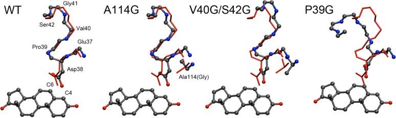 https://cdn.ncbi.nlm.nih.gov/pmc/blobs/bcc6/4004248/9e69322d1e1f/bi-2013-01671t_0006.jpg